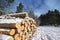 Cut logs in a winter under snow