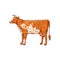Cut of meat poster with cow sketch vector illustration isolated on background.
