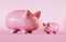 Cut-out object shot of a pink mommy and baby piggy bank isolated on a pink backgound with space for copy.