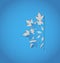 Cut out snowflake, blue paper