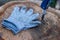 Cut-proof gloves for a young boy cutting the bark off a tree with a sharp knife as pocket knife as perfect outdoor-equipment fon