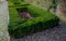 cut squares of flowerbed edging in a historic garden made of boxwood