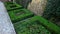 cut squares of flowerbed edging in a historic garden made of boxwood