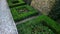 cut squares of flowerbed edging in a historic garden made of boxwood