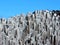 Cut stack of cut trees covered in ice cycles