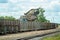 Cut Sugar Cane Being Loaded Onto Rail For The Refinery