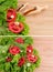 Cut tomatoes, green salad, garlic and paprika