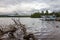 Cut tree branches and hydroplane in lake Loch Lomond