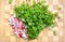 Cut vegetables on white background. Radish, bunch-onion on the wooden board. Side view