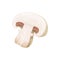 Cut white mushroom champignon isolate edible fungi