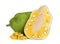 Cut and whole delicious fresh exotic jackfruits on white background
