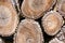 Cut wood logs background