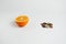 Cutaway orange and coins on a white background