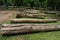 The cutdown tree trunks are arranged in the Indian rainforest. The wooden logs are for sale by the forest department