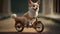 Cute 3d animal corgi dog riding bicycle Made with Generative AI