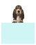 Cute 8 weeks old french basset puppy holding a blue paper board with room for text