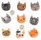 Cute 9 cats vector characters set