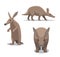 Cute Aardvark Cartoon Vector Illustration
