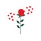 Cute abstract isolated single vertical red Rose branch with green leaves and hearts sparkles on white