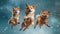 Cute and Active Shiba Inu Dogs Jumping to Catch Treats in Studio Shoot. Generative AI