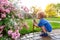 Cute adorable caucasian blond toddler boy enjoy having fun watering garden flower and lawn with hosepipe sprinkler at