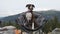 Cute and Adorable Female Boxer Dog laying on a cozy camping chair