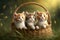 Cute Adorable Kittens Family Cats Realistic Portrait in a Basket, Summer Grass Generative AI