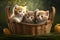 Cute Adorable Kittens Family Cats Realistic Portrait in a Basket, Summer Grass Generative AI