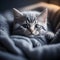 Cute and adorable little american shorthair kitten snuggled up in a fuzzy blanket on a bed. Generative AI