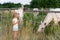 Cute adorable little blond caucasian kid girl meet beautiful white horse near wooden fence at countryside ranch or farm on summer