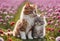 Cute and adorable little fluffy cat and dog on meadow. Generative AI