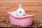 Cute and adorable little white bunny rabbit in pink bathtub and over wood floor with straw and brown background