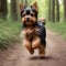 Cute and adorable little Yorkshire terrier running through forest. Generative AI