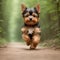 Cute and adorable little Yorkshire terrier running through forest. Generative AI