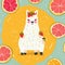 A cute and adorable llama or alpaca with a big smile, surrounded by fruit. A full-body portrait of a cartoon animal, with a