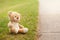 Cute adorable lost abandoned soft plush stuffed children toy teddy bear sitting on ground street road