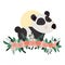 Cute and adorable panda with floral decoration