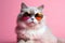 Cute adorable portrait of white fluffy cat wearing sunglasses over pink background.