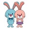 cute and adorable rabbits couple characters