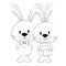 cute and adorable rabbits couple characters