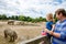 Cute adorable toddler girl and father watching wild rhinos in zoo. Happy baby child, daughter and dad, family having fun