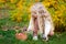 Cute adorable white Caucasian blonde preschool little girl picking fresh edible mushrooms in wicker basket