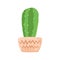 Cute aesthetic mini cactus. Isolated Ilustration.