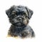 Cute Affenpinscher Puppy: Adorable Watercolor Illustration for Pet Lovers AI Generated