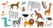 Cute african animals. Wood, jungle or savanna animals, leopard, giraffe, hippo, crocodile and zebra. Wild forest or zoo