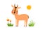 Cute african baby antelope standing in the green grass. Vector illustration