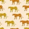 Cute African leopards hand drawn vector illustration. Colorful panthers animal seamless pattern for children fabric.