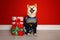 Cute Akita Inu dog in Christmas  near gift boxes indoors