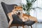 Cute Akita Inu dog with glasses on sofa