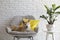 Cute Akita Inu dog in room with houseplants